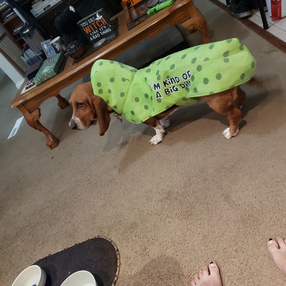 Meet your Posher, Ashley - Picture 4 of 4